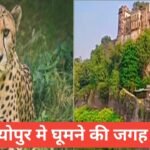 Sheopur Me Ghumne Ki Jagah тАУ 2025 Mein Ghoomne Layak 5 Best Tourist Places Sheopur Me Ghumne Ki Jagah
