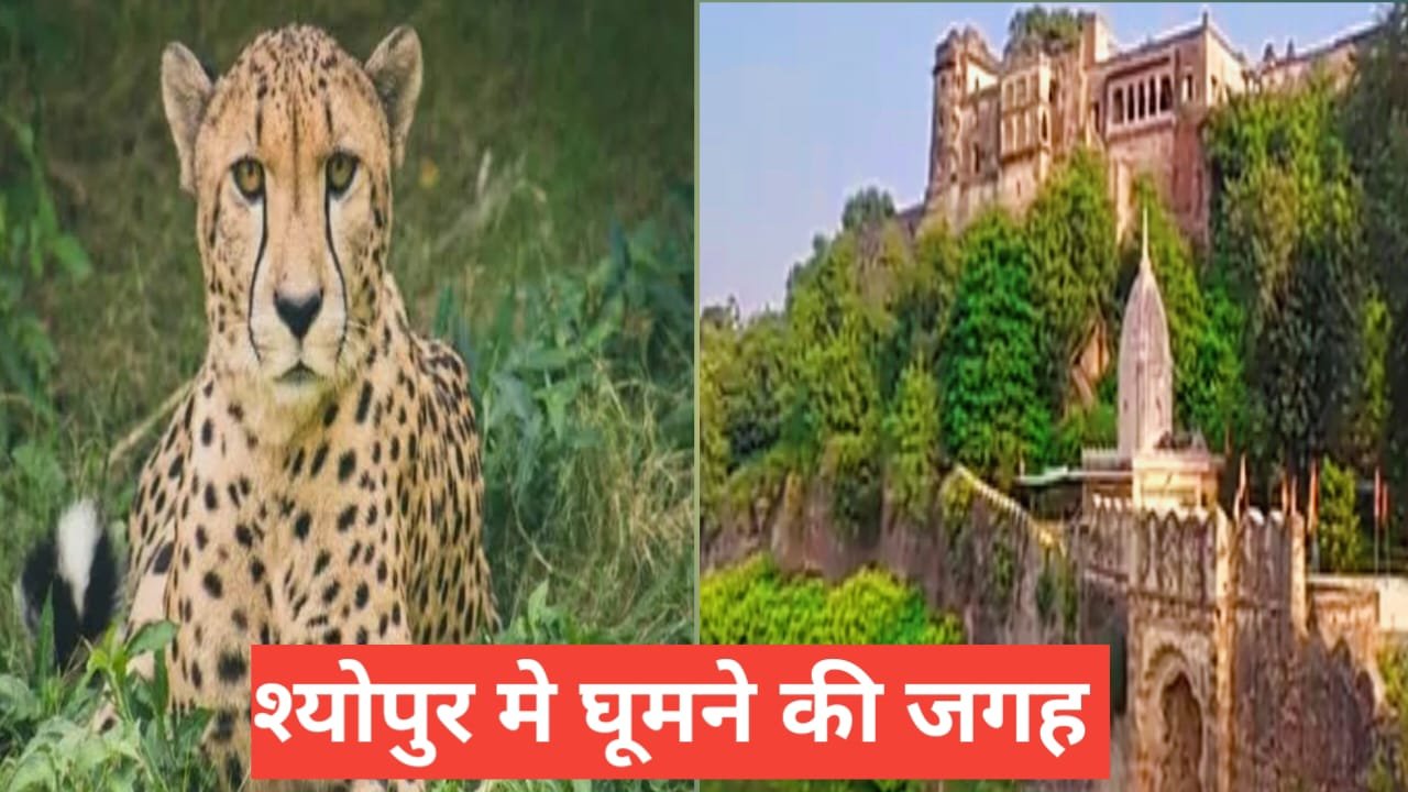 Sheopur Me Ghumne Ki Jagah
